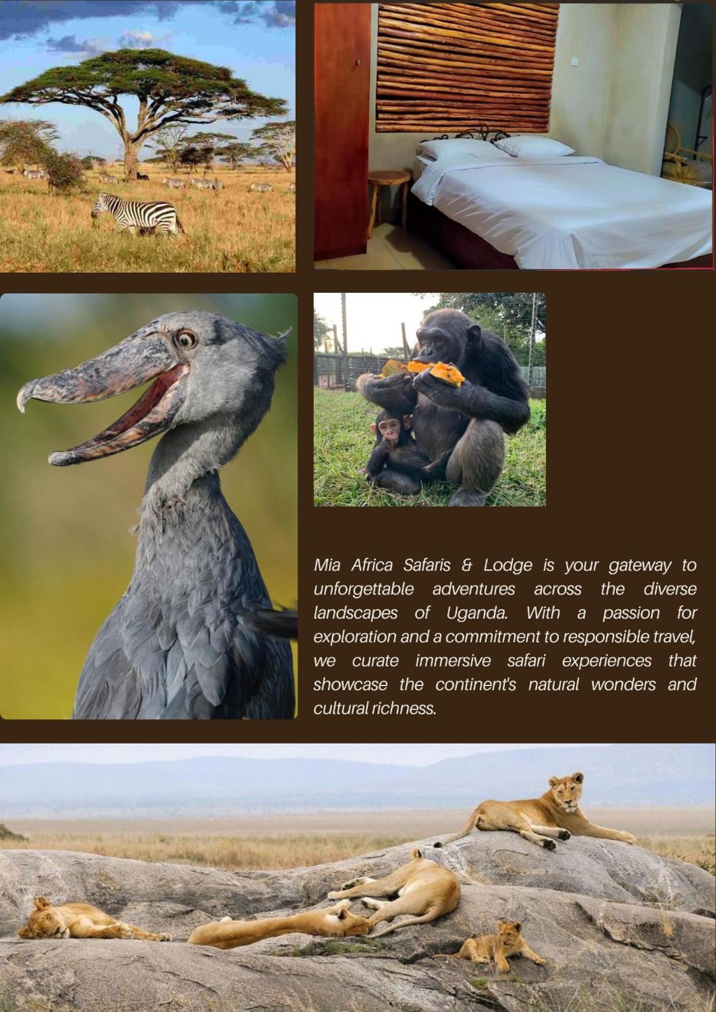 Mia Safari Lodge And Restaurant Entebbe Exteriér fotografie